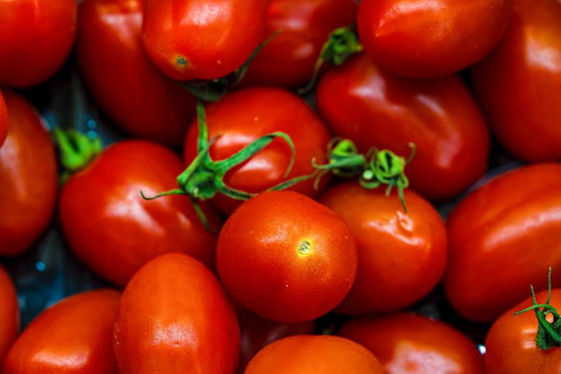 Pomodoro Fresco pasta with fresh San Marzano tomatoes